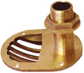 Thru-Hull with Strainer and Nut R261