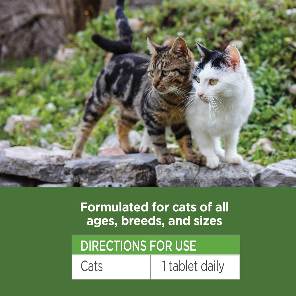 Oral Flea & Tick Chews for Cats 120 ct O800