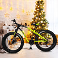 26-inch Fat Tire 21-Speed Mountain Bike N923