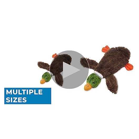 Stuffless Squeaky Dog Toys Q120