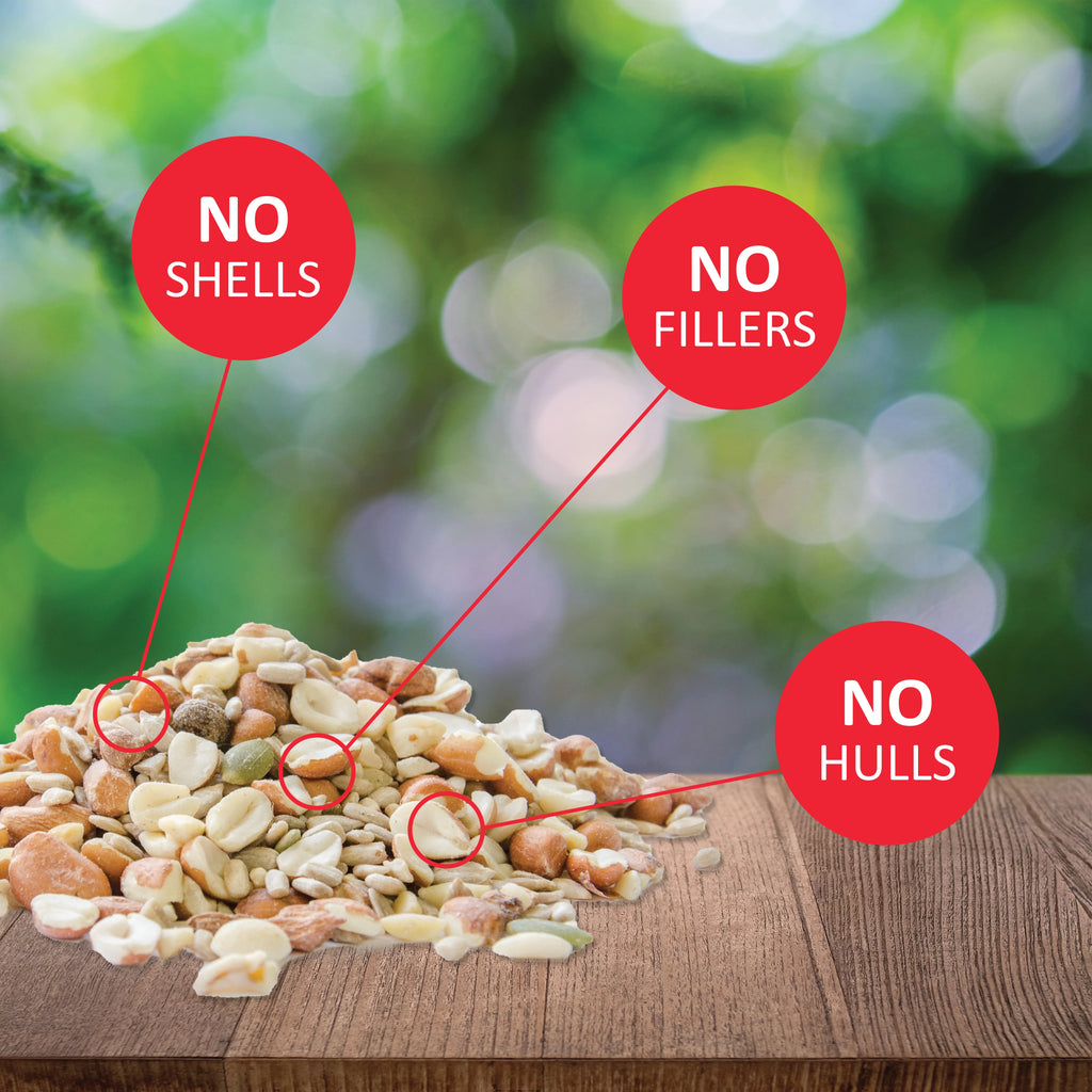 20 lb. No Waste Bird Seed with Shell-Free Nuts & Seeds K119986