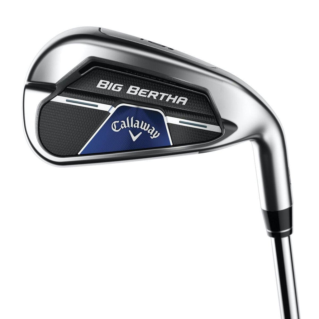 Single Iron R260699