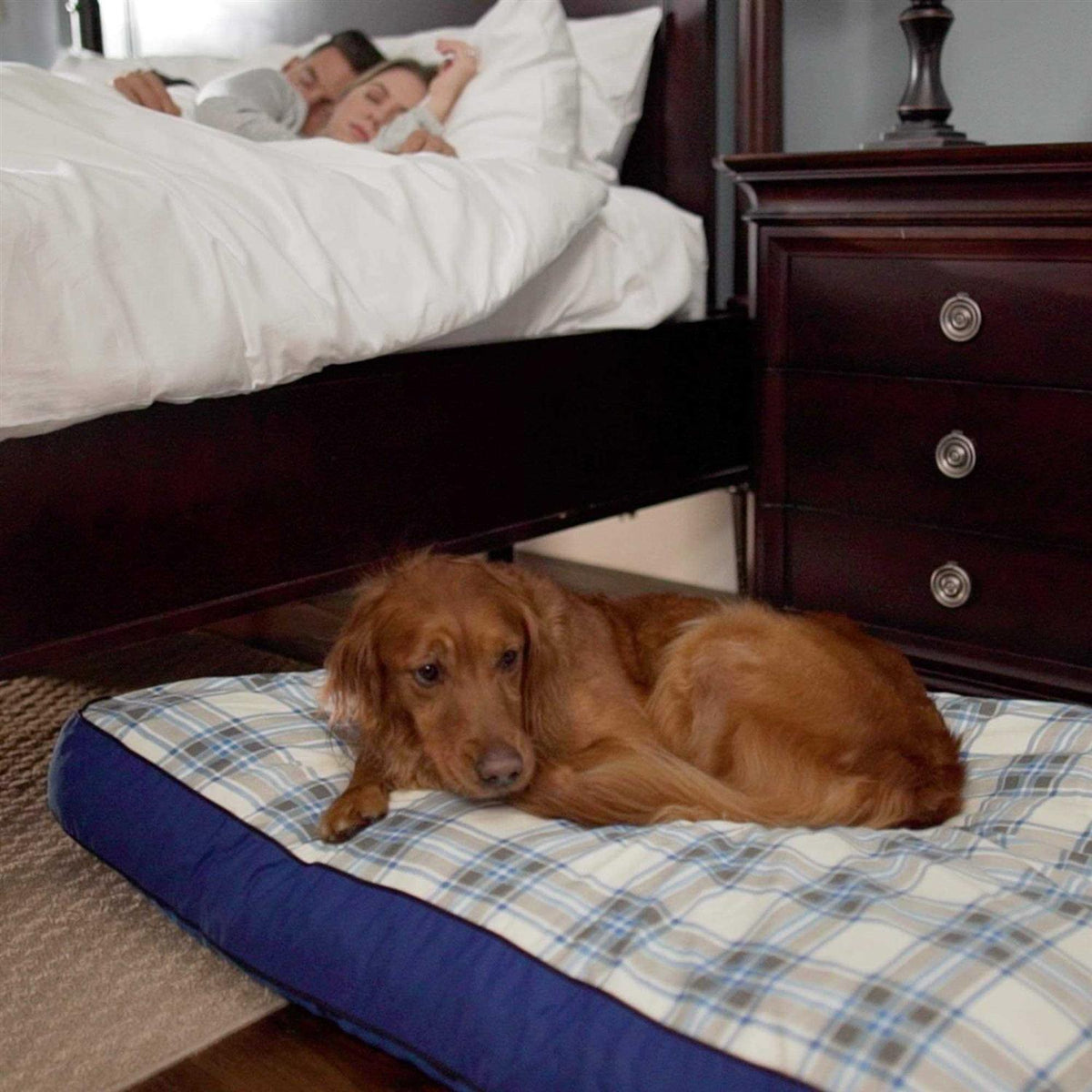 Dog Bed R6876