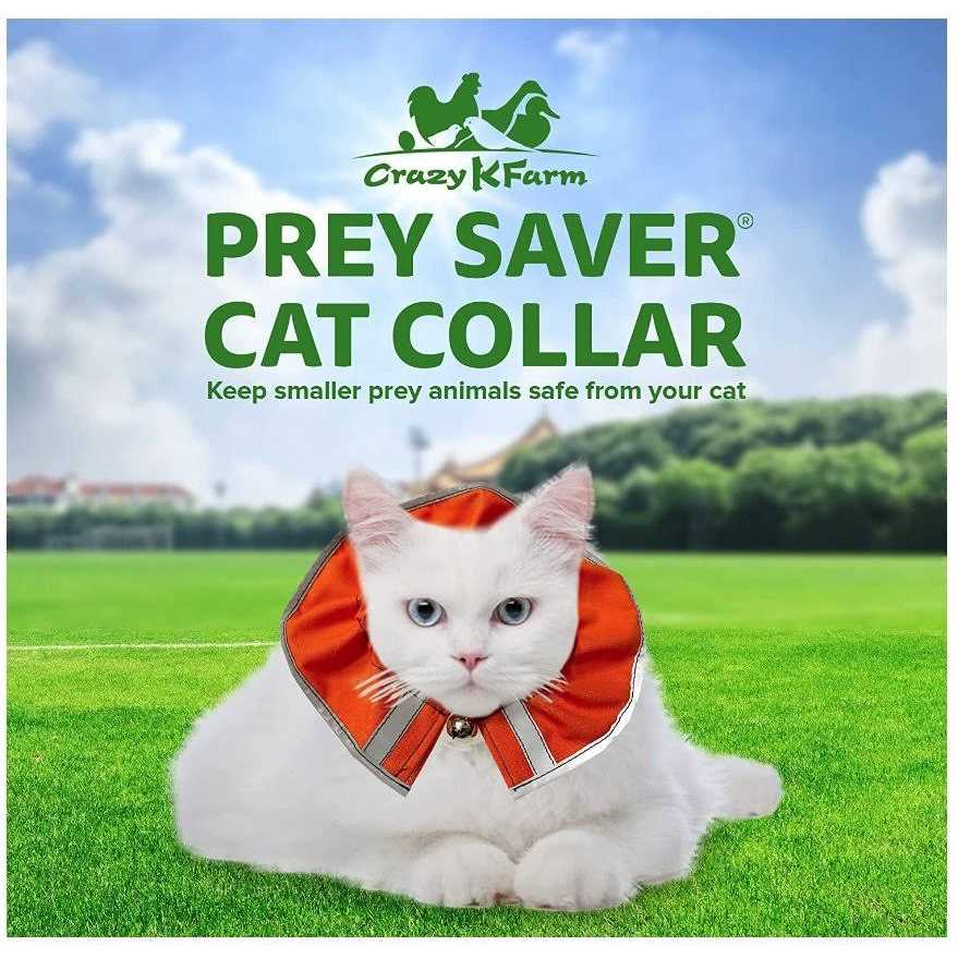 Cat Collar N81227