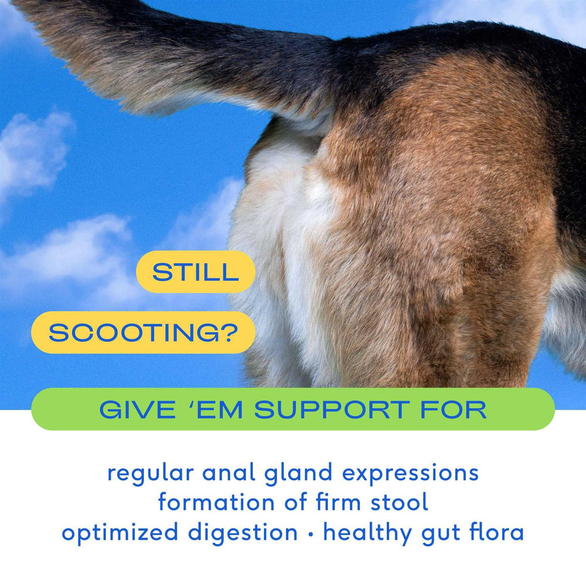 Anal Gland Supplement for Dogs E680675