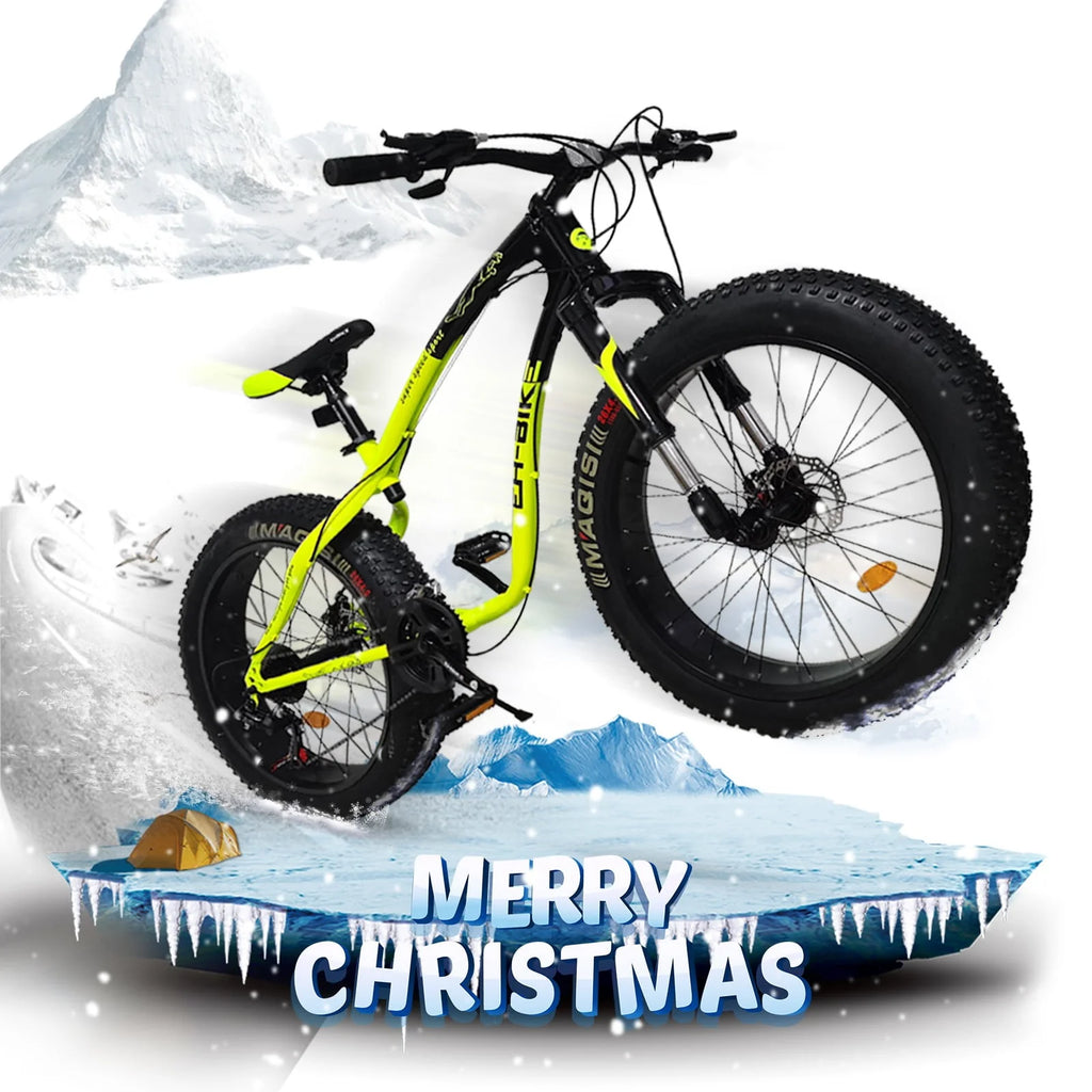 26-inch Fat Tire 21-Speed Mountain Bike N923