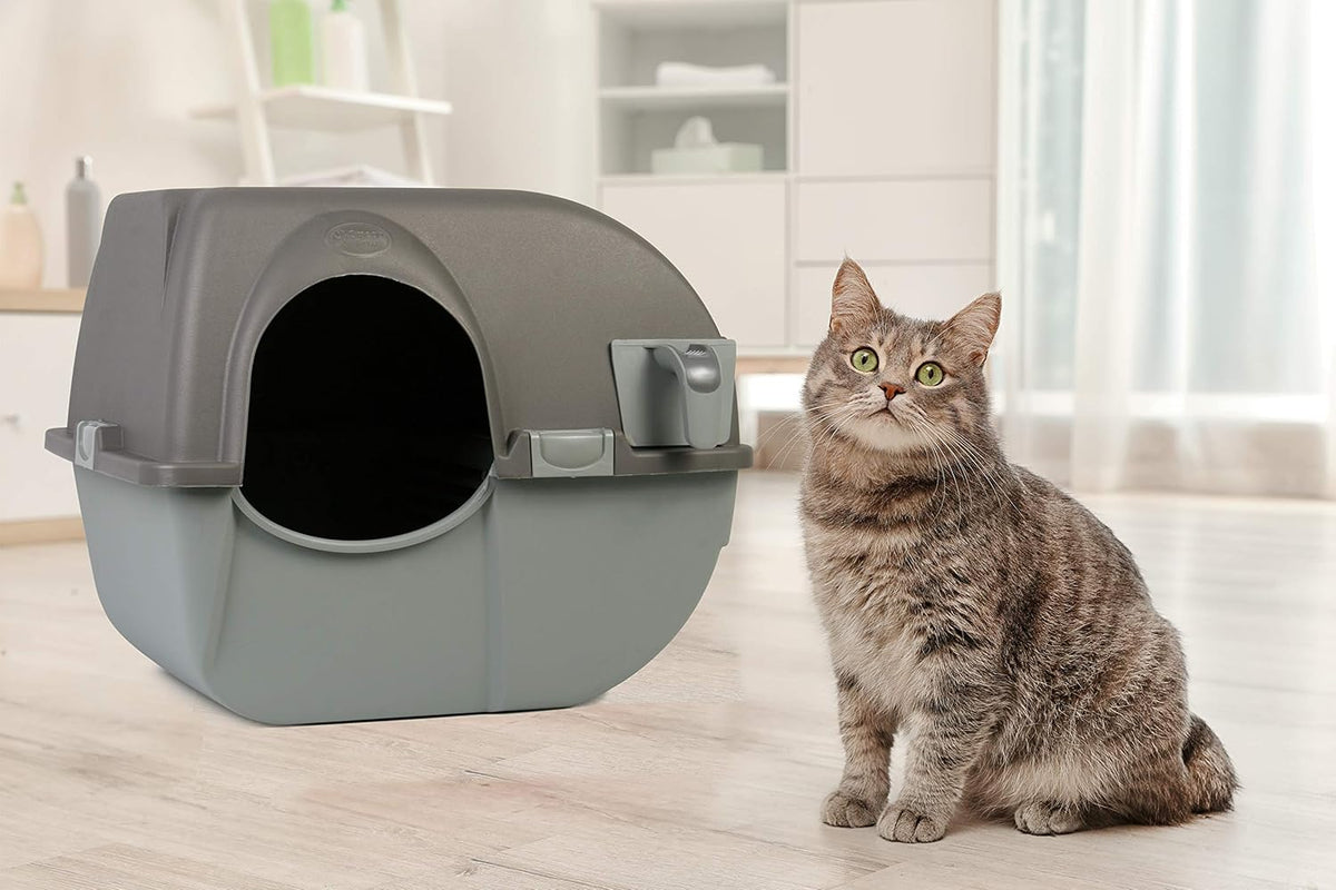 Self-Cleaning Litter Box, Regular, Taupe U4333