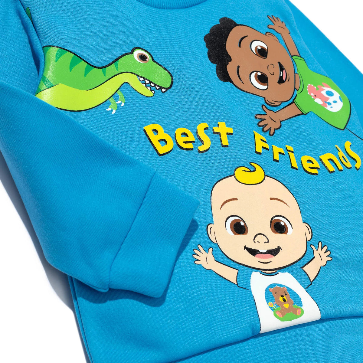 Toddler Boys Fleece Pullover Sweatshirt and Pants Set W471