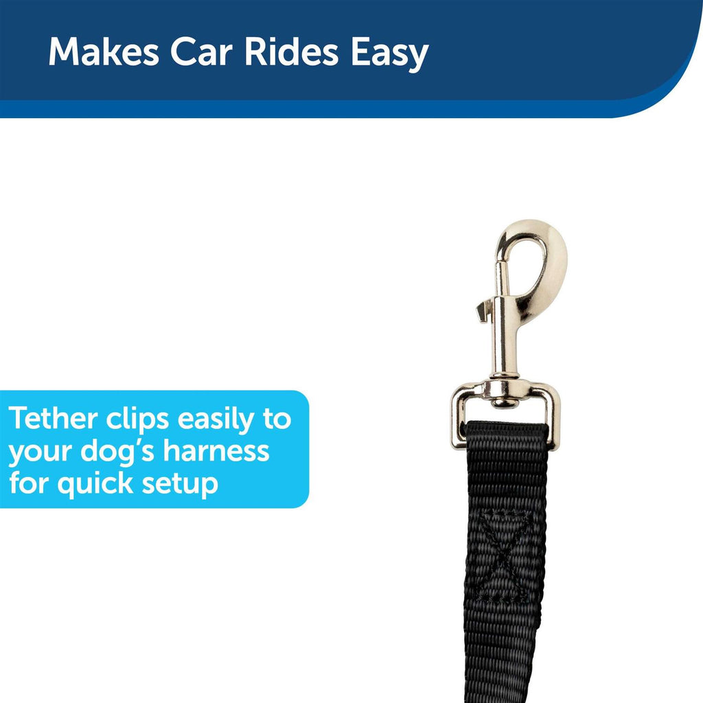 Dog Zipline I4468