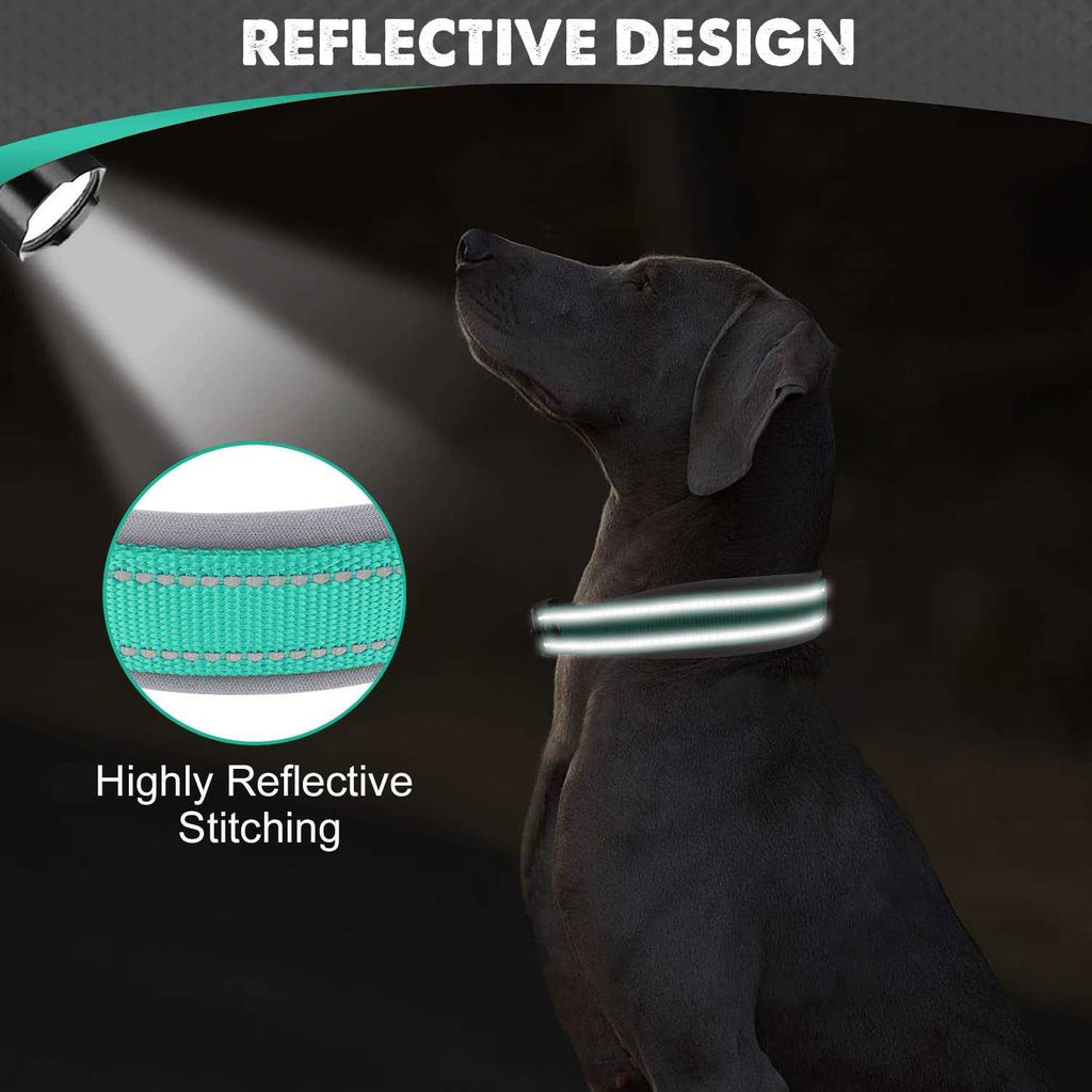 Reflective Soft Neoprene Padded Nylon Dog Collar Z2159