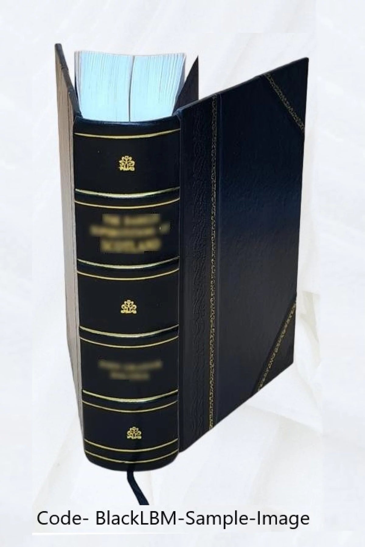 Leather Bound Y6299