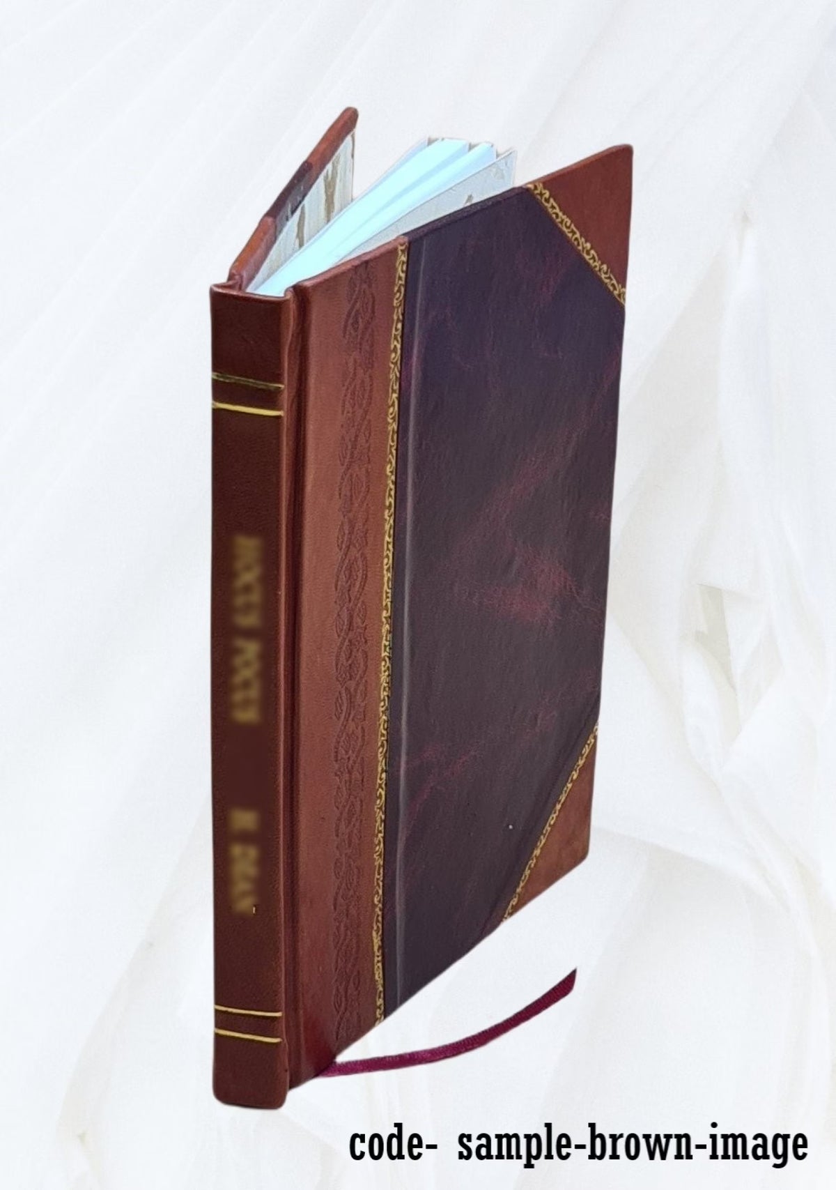 1920 Leather Bound Book C900710
