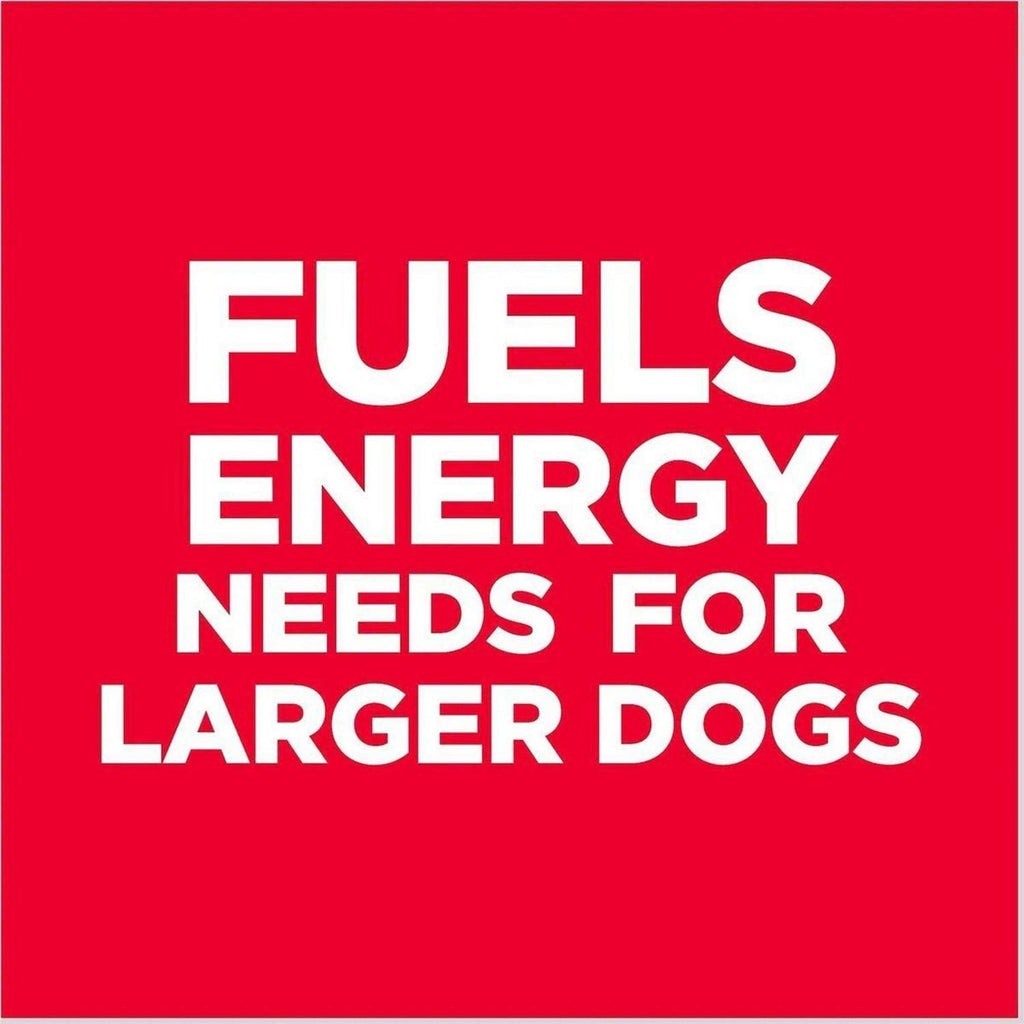 Adult 6+ Large Breed Chicken Meal Dry Dog Food T389