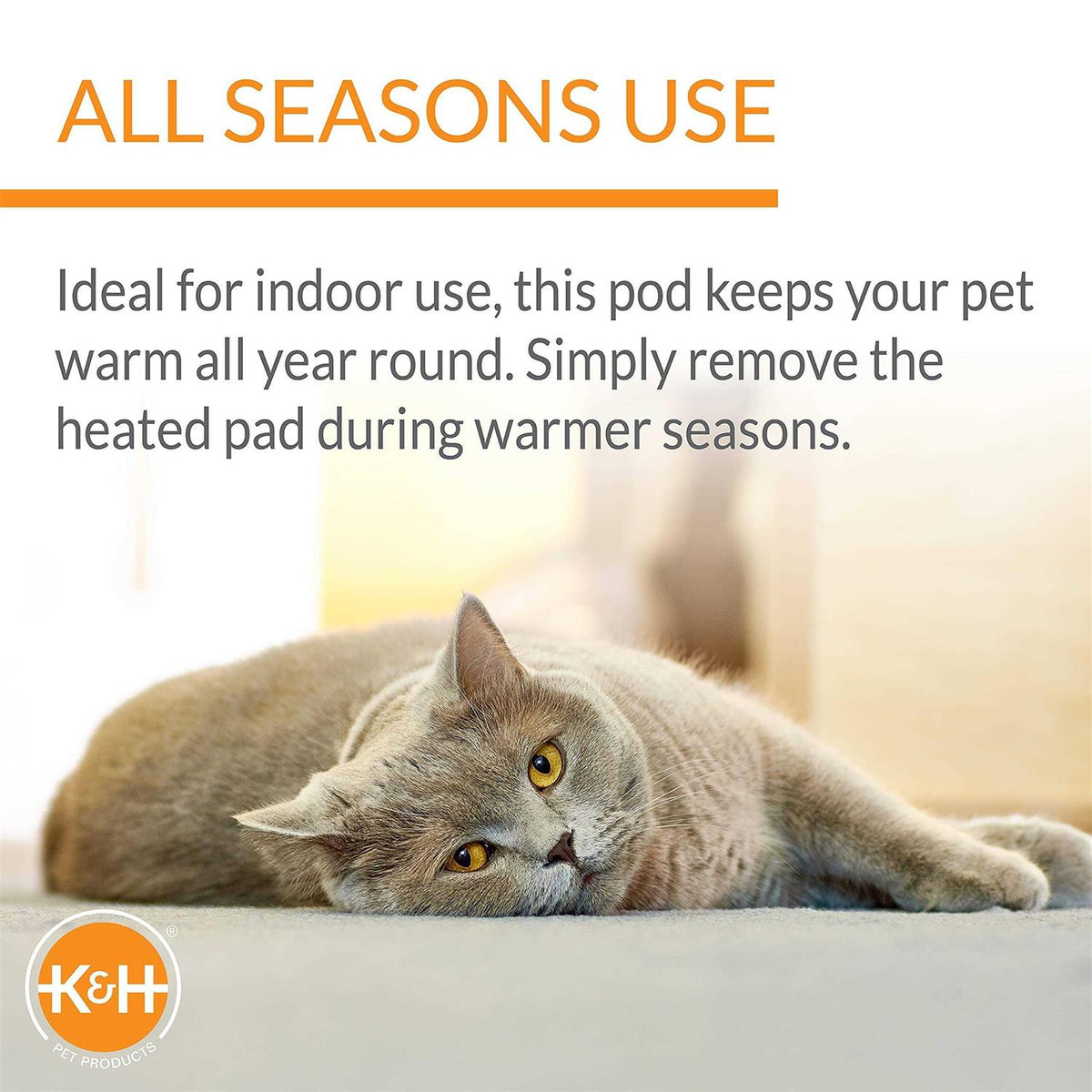 Cat Pod J128794