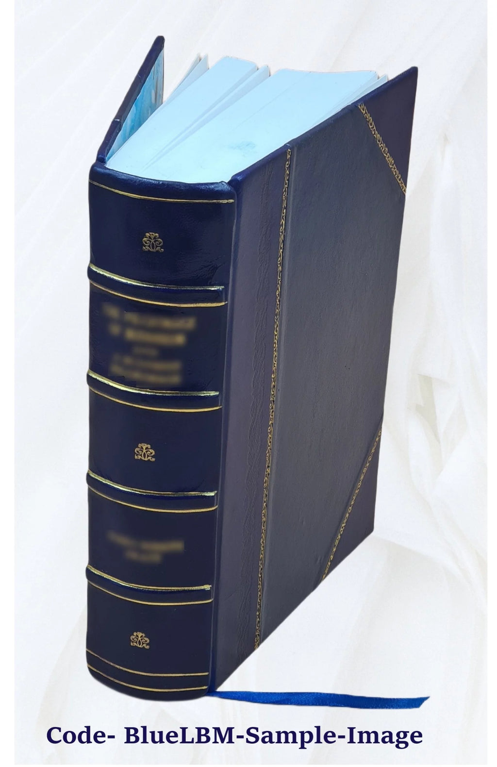 Leather Bound Y6299