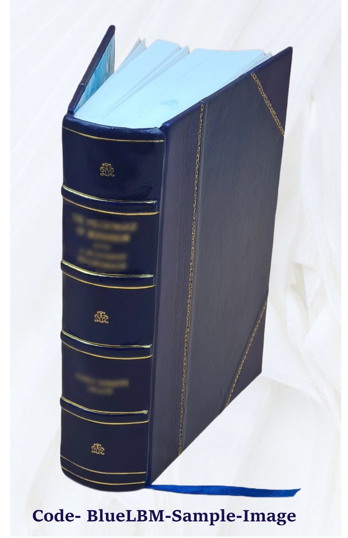 Leather Bound Y6299