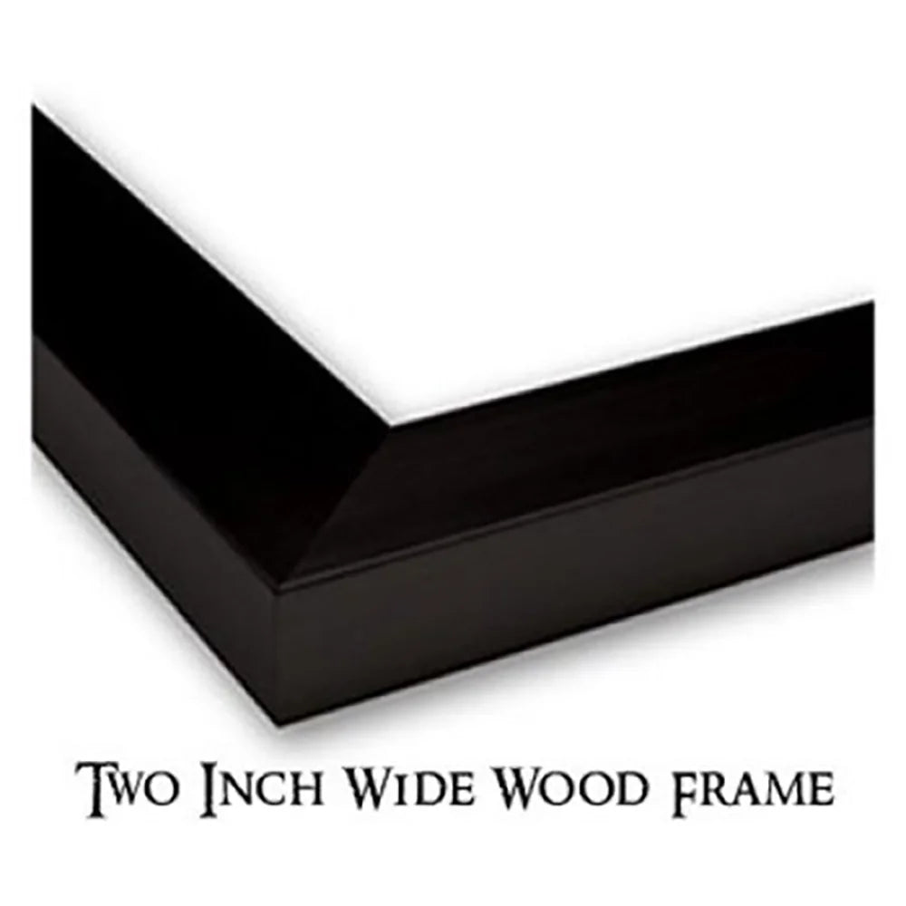 Black Modern Framed Museum Art Print V253368