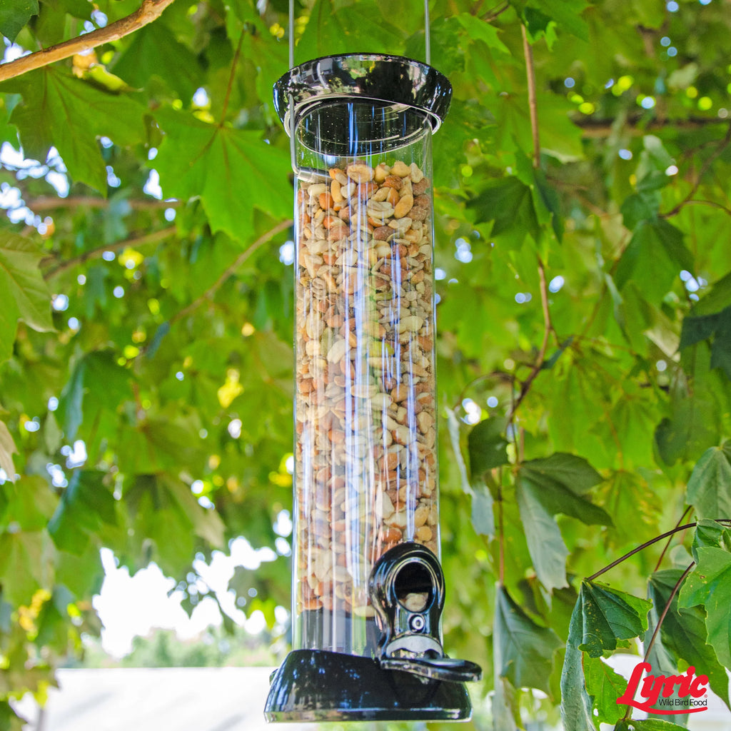 20 lb. No Waste Bird Seed with Shell-Free Nuts & Seeds K119986