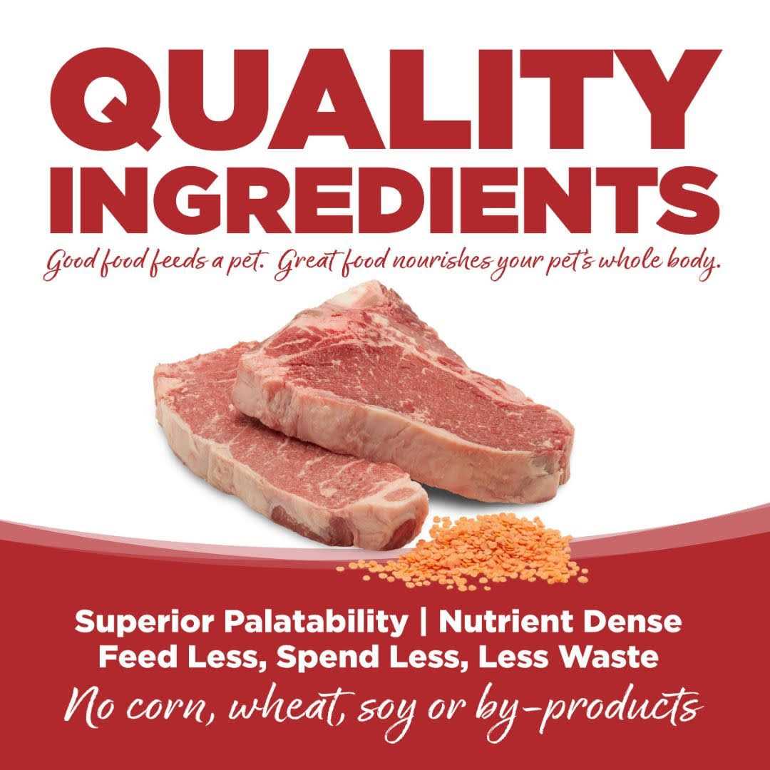 Beef & Red Lentils Grain Free Dry Dog Food A754802