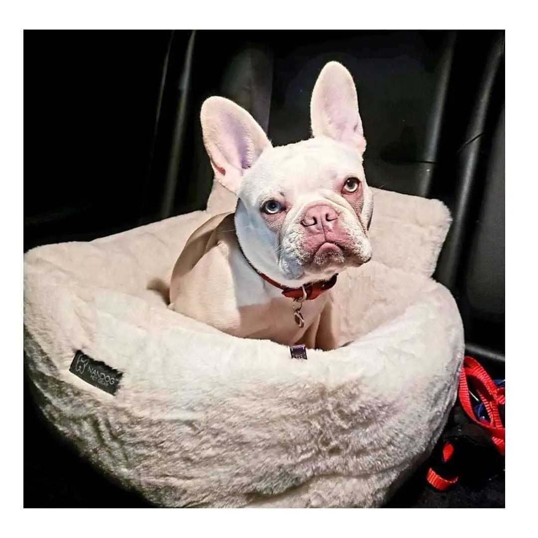 Ivory Dog Car Seat Bed L51602