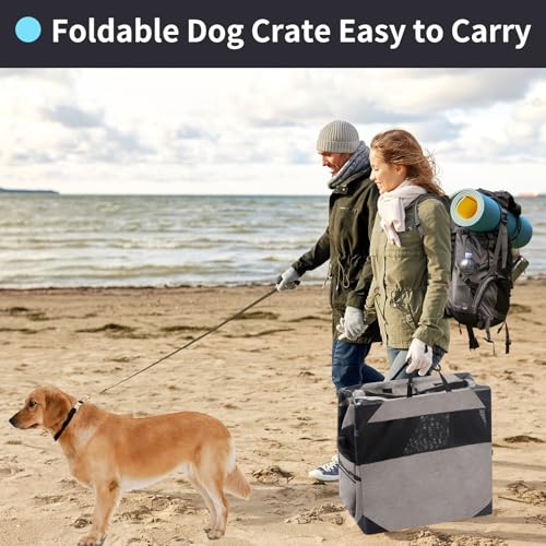 30 Inch Light Grey Collapsible Soft Dog Crate R94297
