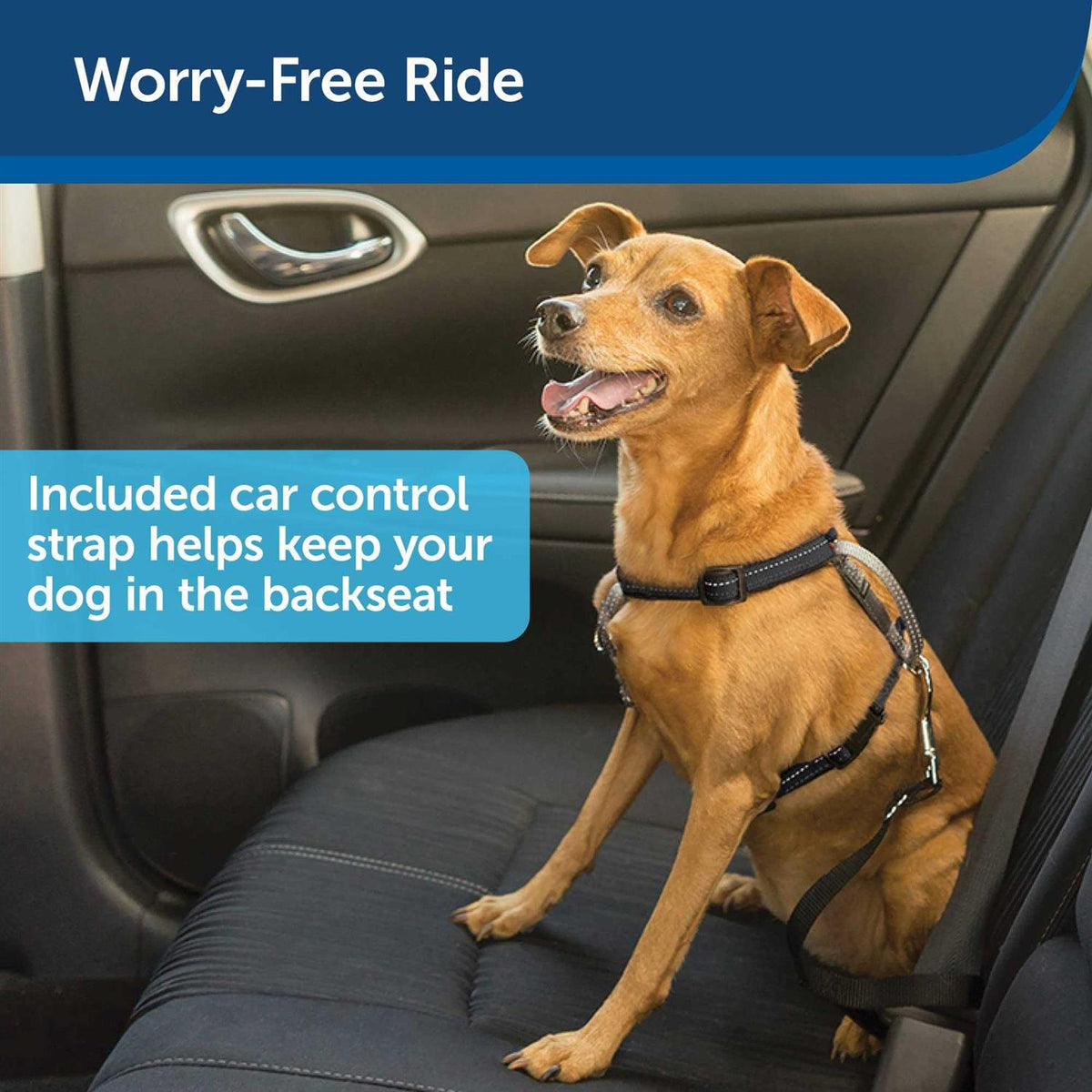3 in 1 Harness with Leash T78372