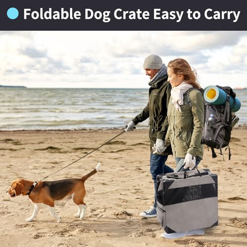 30 Inch Light Grey Collapsible Soft Dog Crate R94297