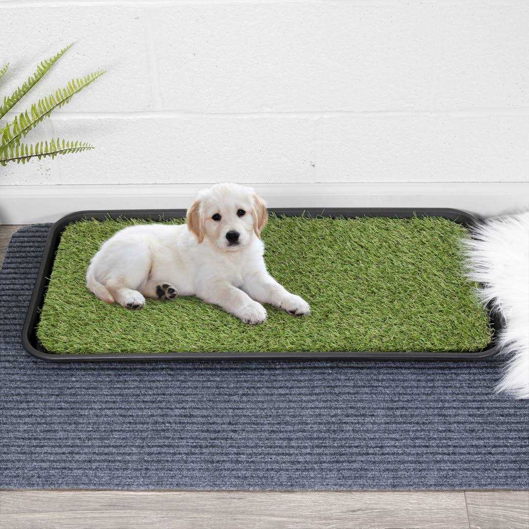 Non-Slip Easy Clean Indoor/Outdoor Tray with Reusable Grass Pad M9753