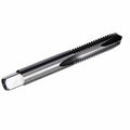 #1-64 High Speed Steel 2 Flute Spiral Point Tap (Pack of 12) W81720