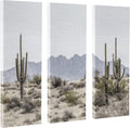 3 Piece 12 x 28 Canvas Wall Art Set R27537
