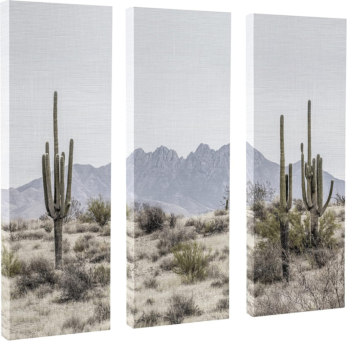 3 Piece 12 x 28 Canvas Wall Art Set R27537