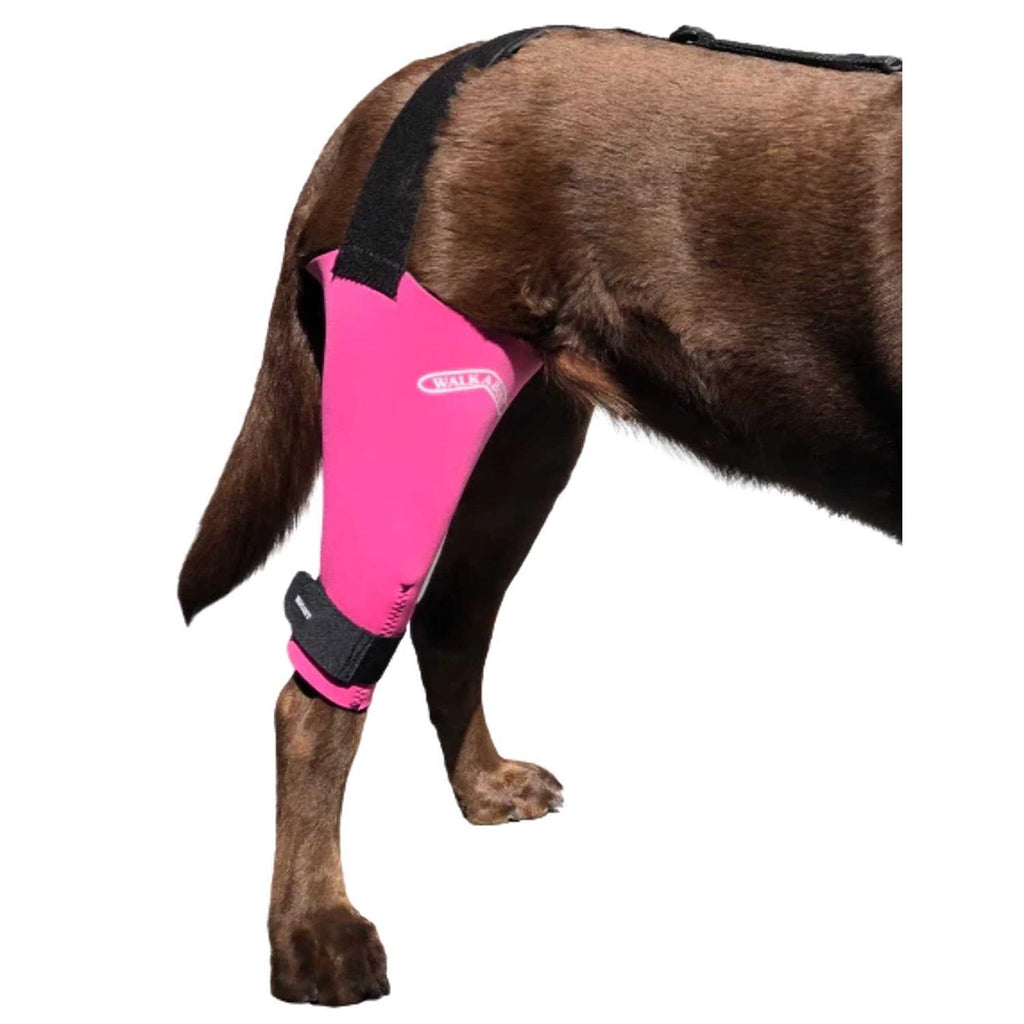 Dog & Cat Knee Brace Q3521