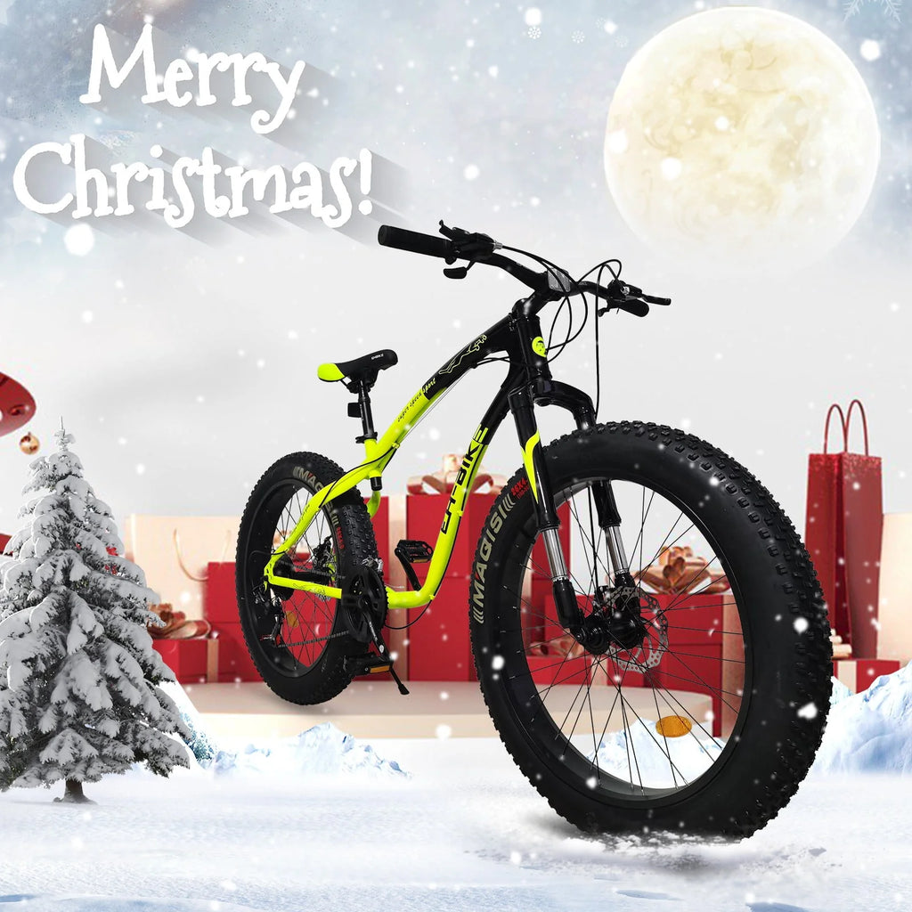 26-inch Fat Tire 21-Speed Mountain Bike N923