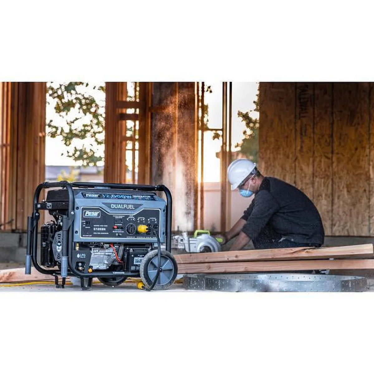 12,000W Dual Fuel Portable Generator in Space Gray with Electric Start F367
