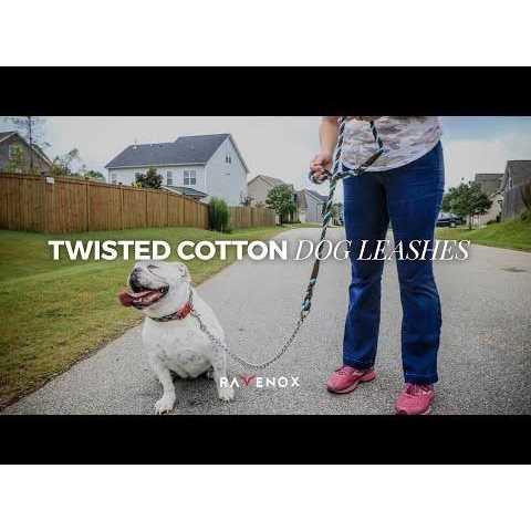 Dog Leash with Chain S5418