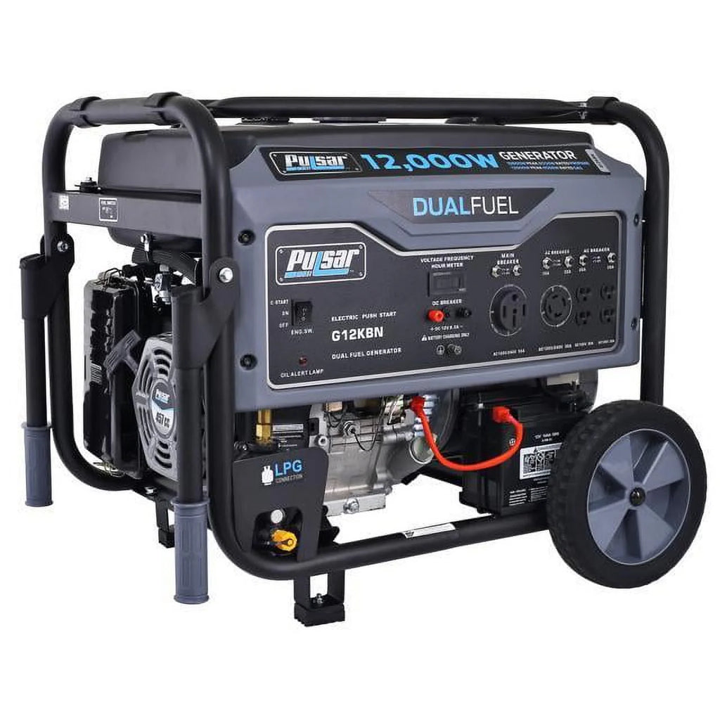 12,000W Dual Fuel Portable Generator in Space Gray with Electric Start F367