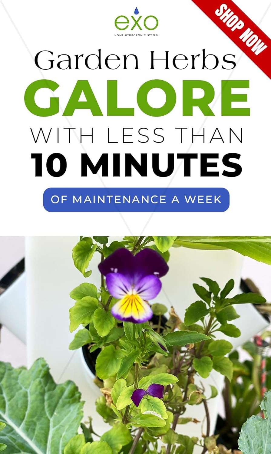 Vertical Hydroponic Garden Tower System C24055