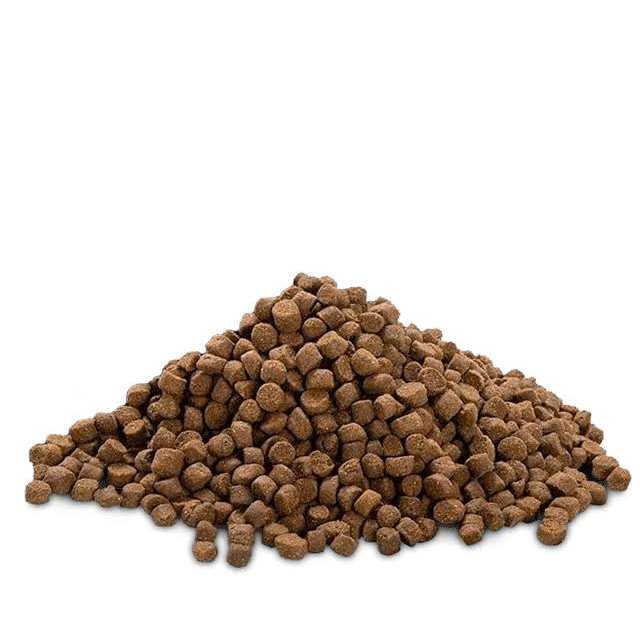 High Protein Puppy Food L6745