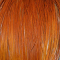 Brown Hackle Cape M97840