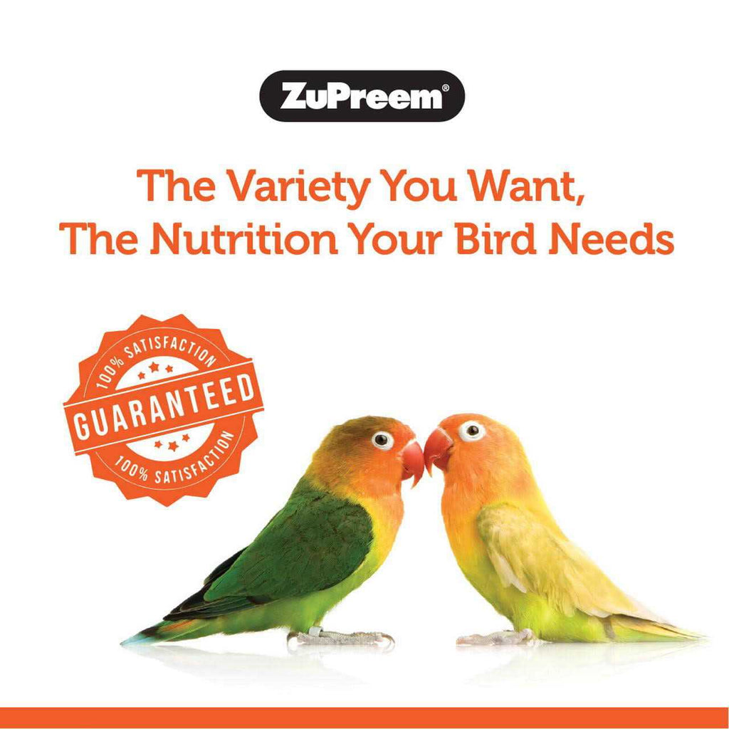 PastaBlend Food for Medium Birds D606548