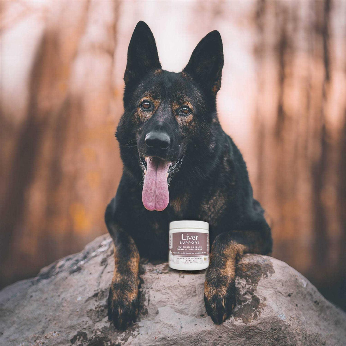 Liver Support for Dogs & Cats O310323