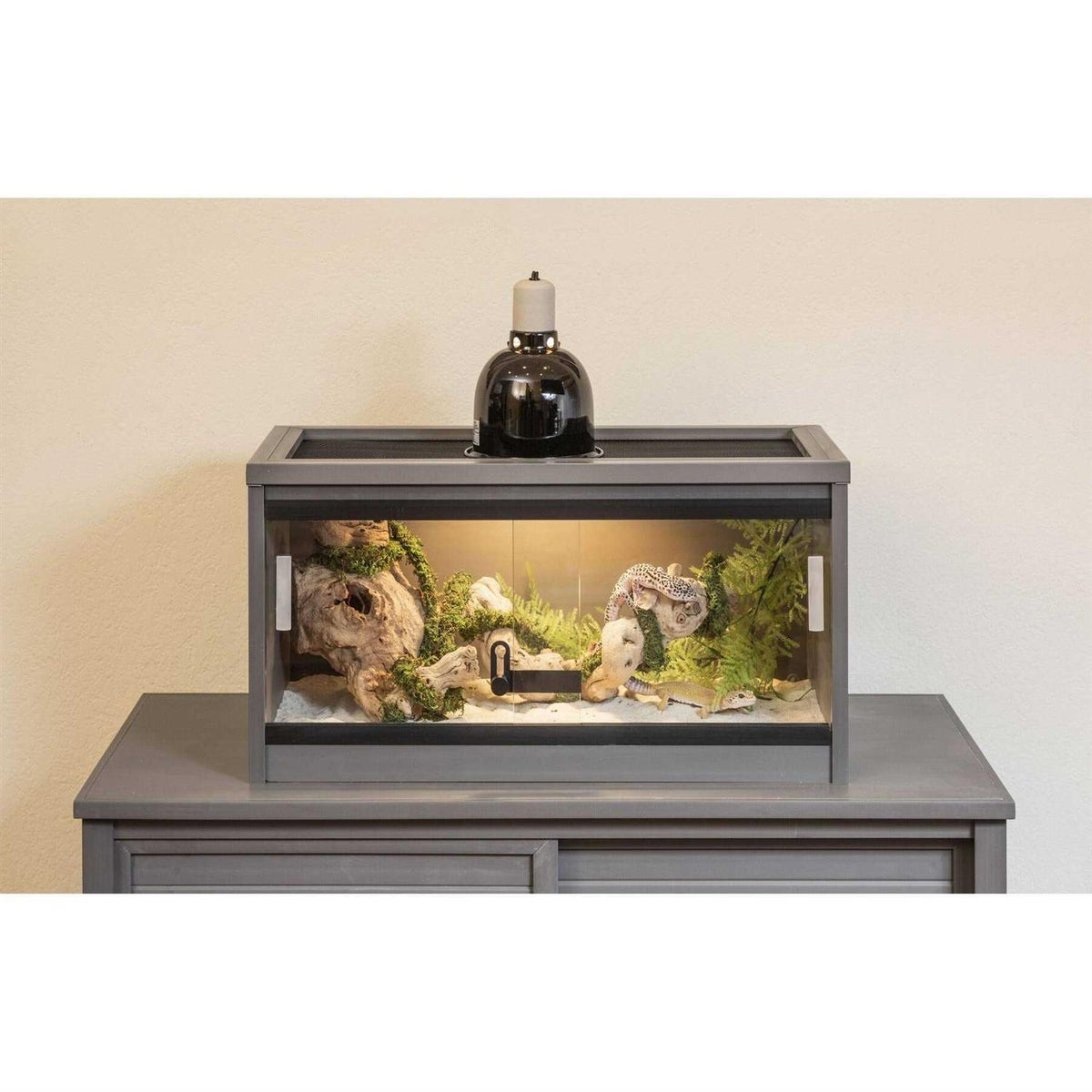 Reptile Lounge G60877