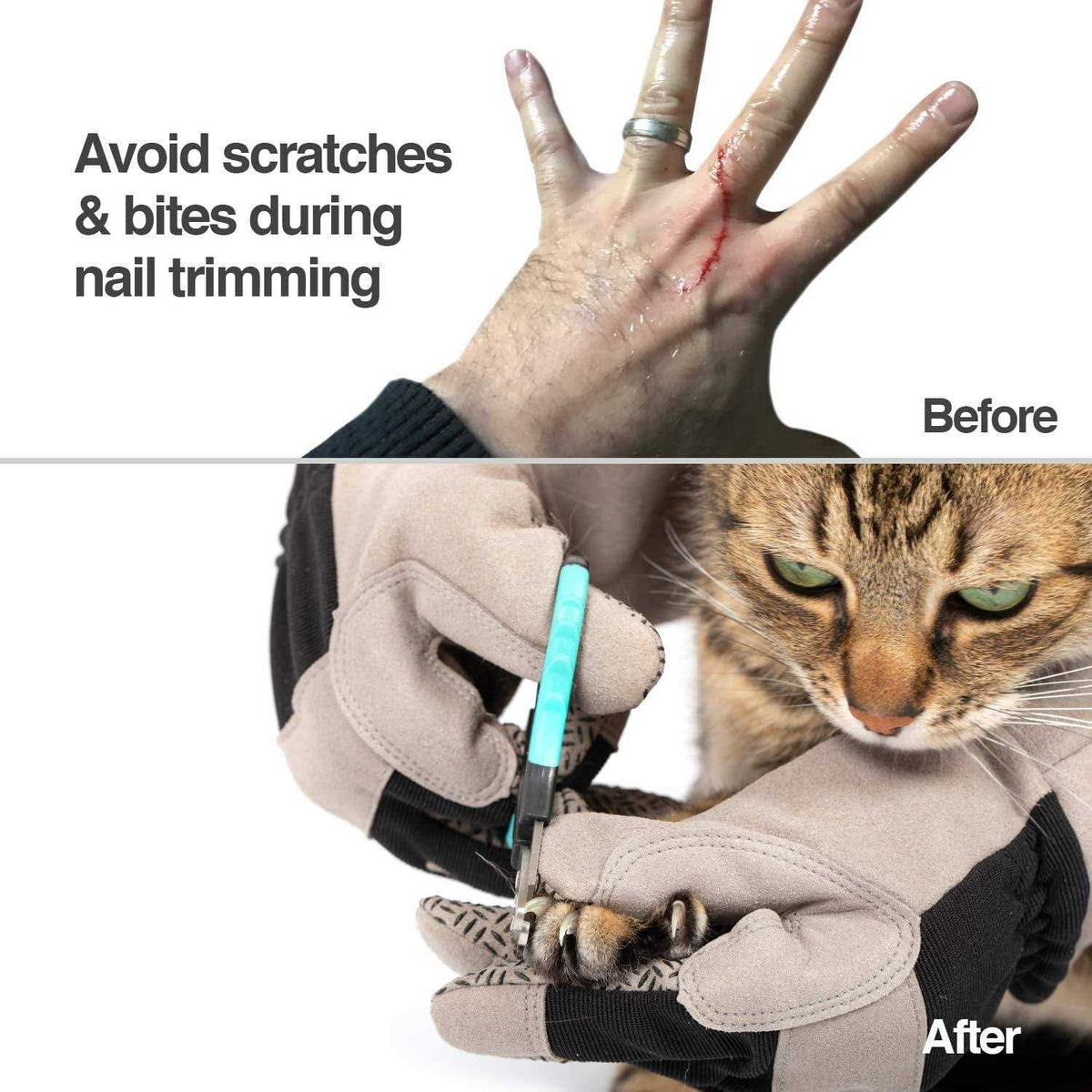 Multipurpose Pet Grooming Glove X829