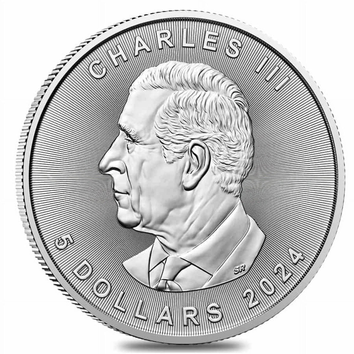 10 1 oz Canadian Silver Maple Leaf Coin A681