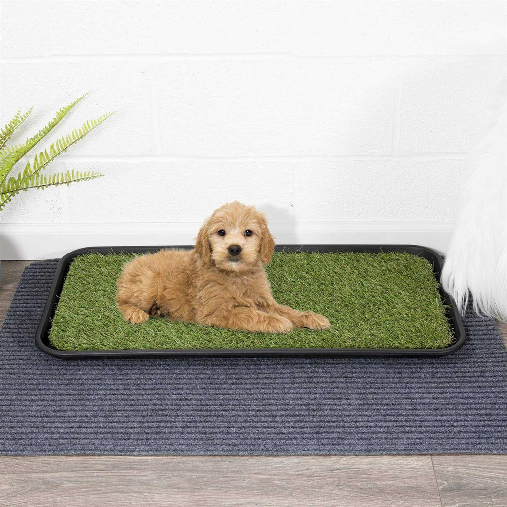 Non-Slip Easy Clean Indoor/Outdoor Tray with Reusable Grass Pad M9753