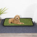 Non-Slip Easy Clean Indoor/Outdoor Tray with Reusable Grass Pad M9753