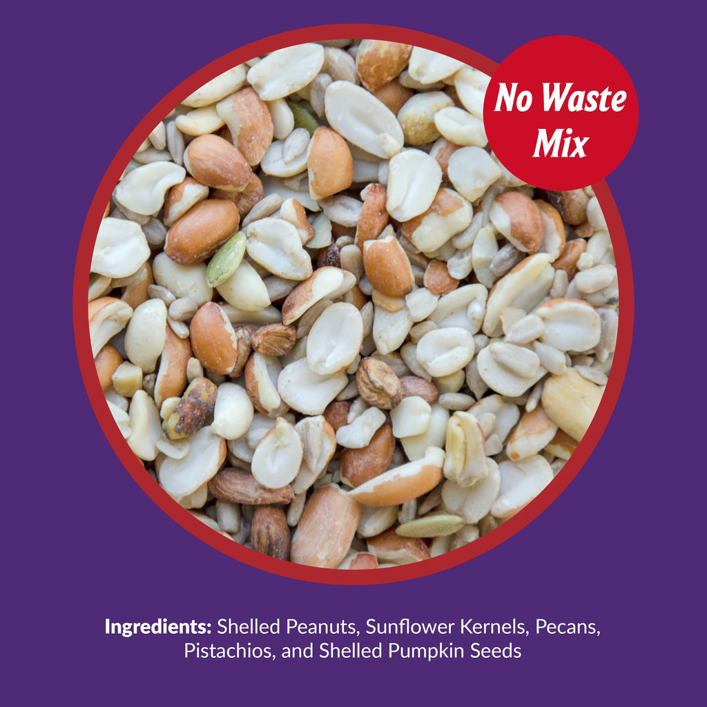 20 lb. No Waste Bird Seed with Shell-Free Nuts & Seeds K119986