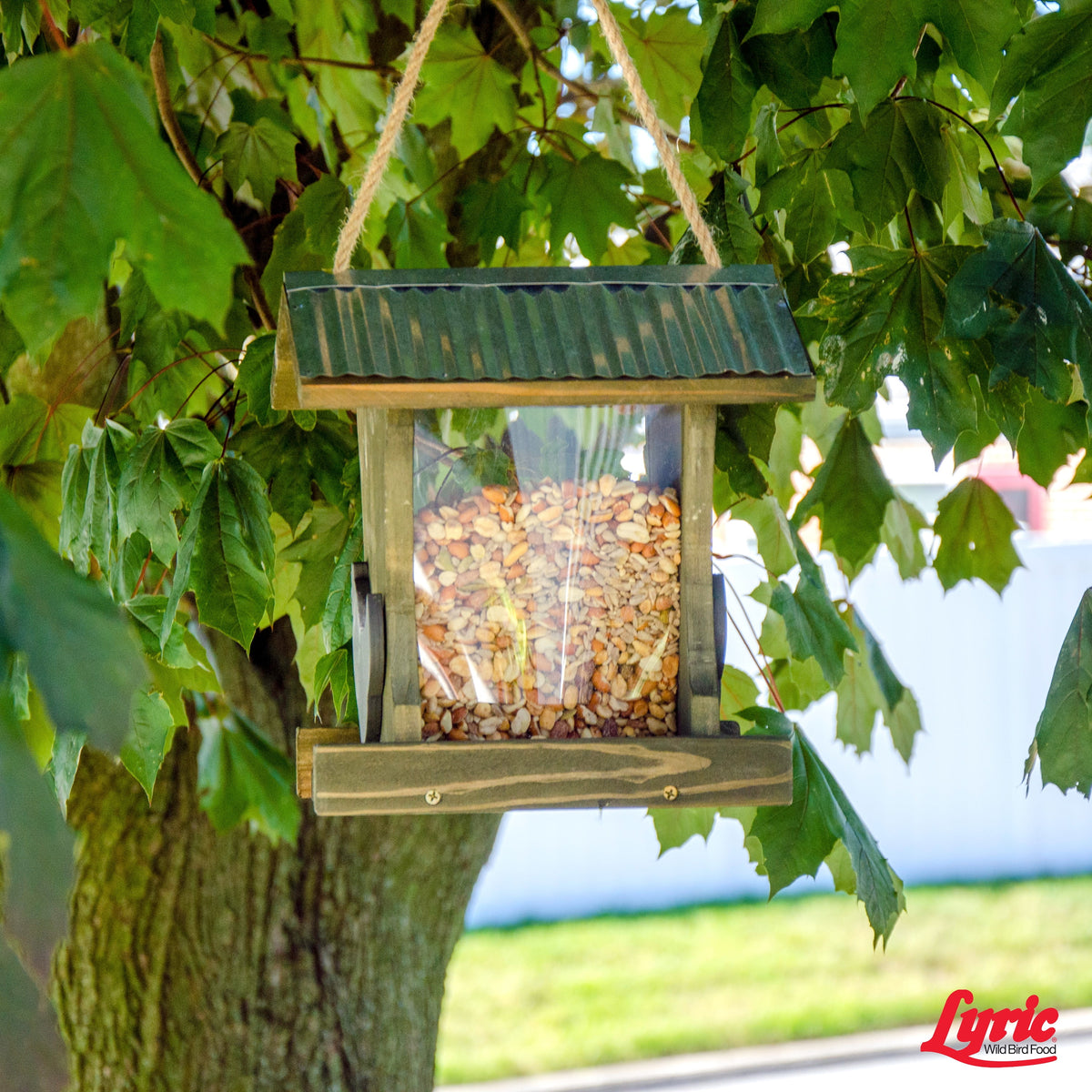 20 lb. No Waste Bird Seed with Shell-Free Nuts & Seeds K119986