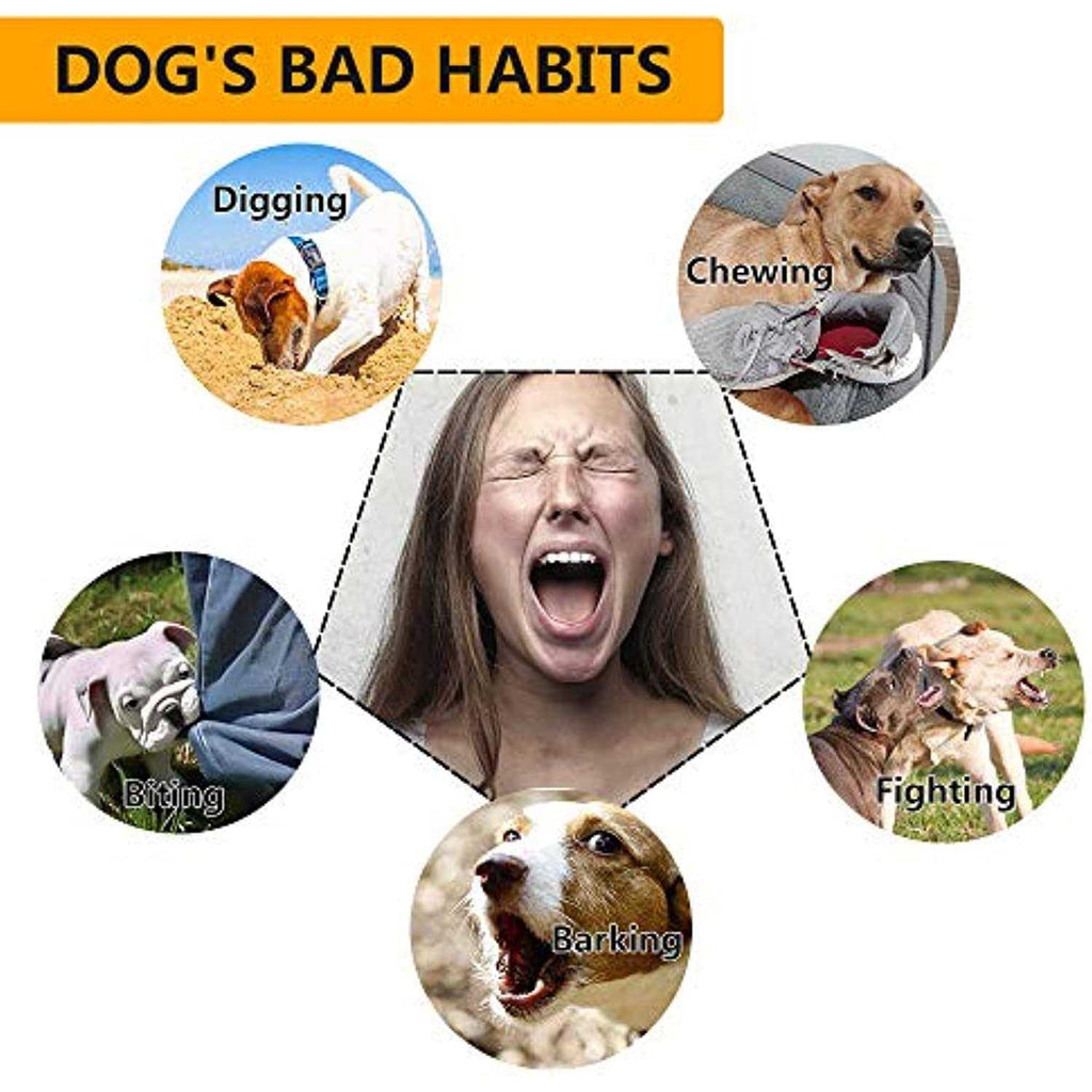 Dog Training Collar with Remote H5856