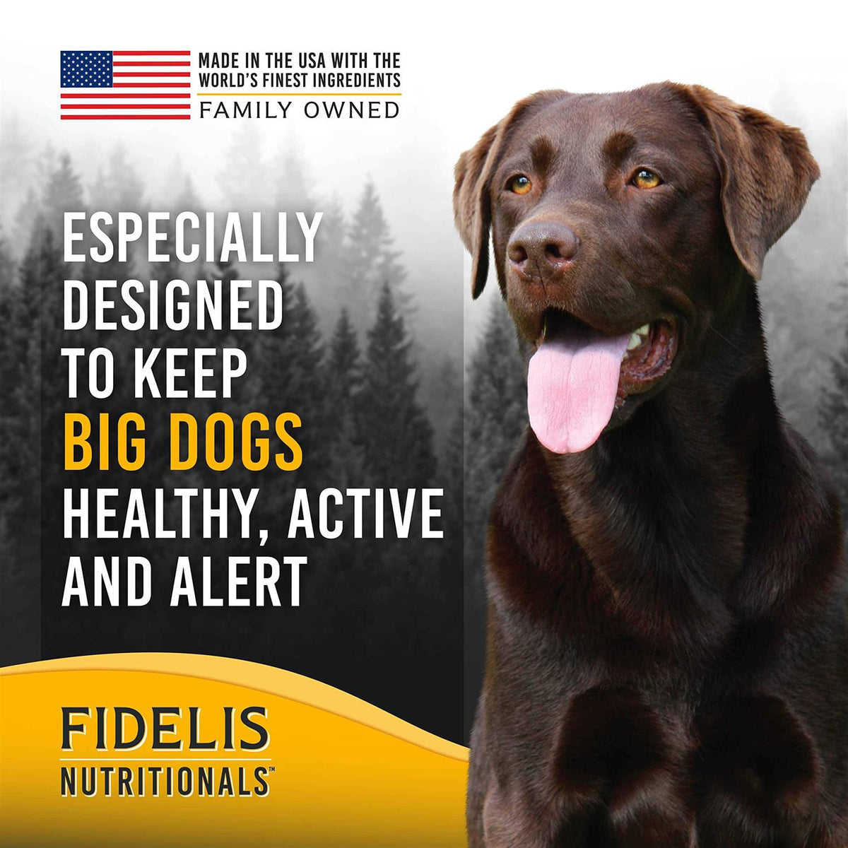 Freeze Dried Dog Food O48297